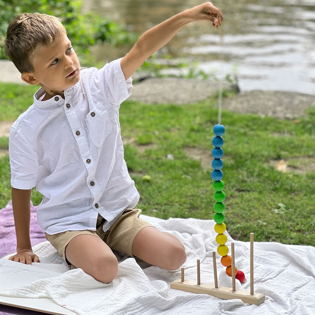 The Developing Toy "Multi-colored counting"