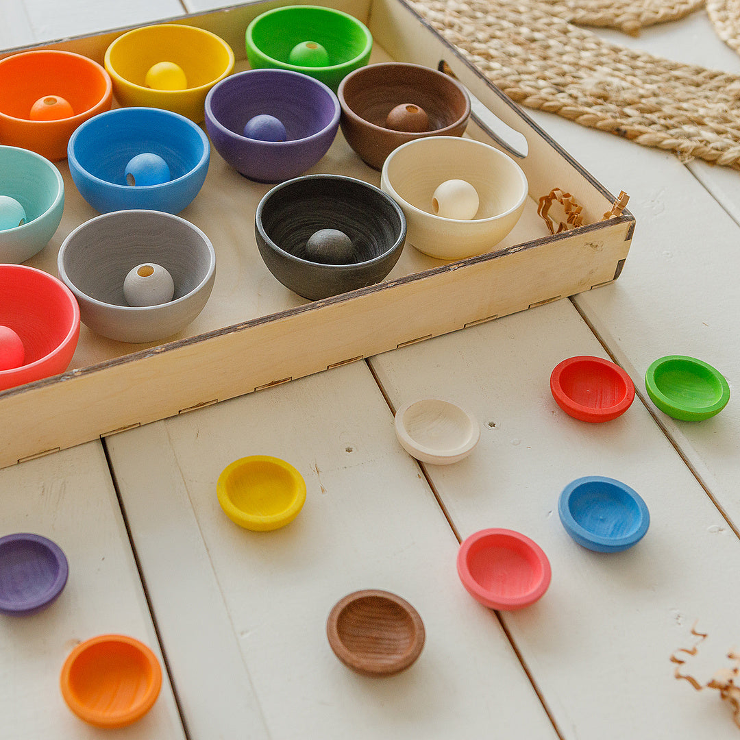 Set Colored Plates 12 pcs Montessori Toy Wooden Sorter Game