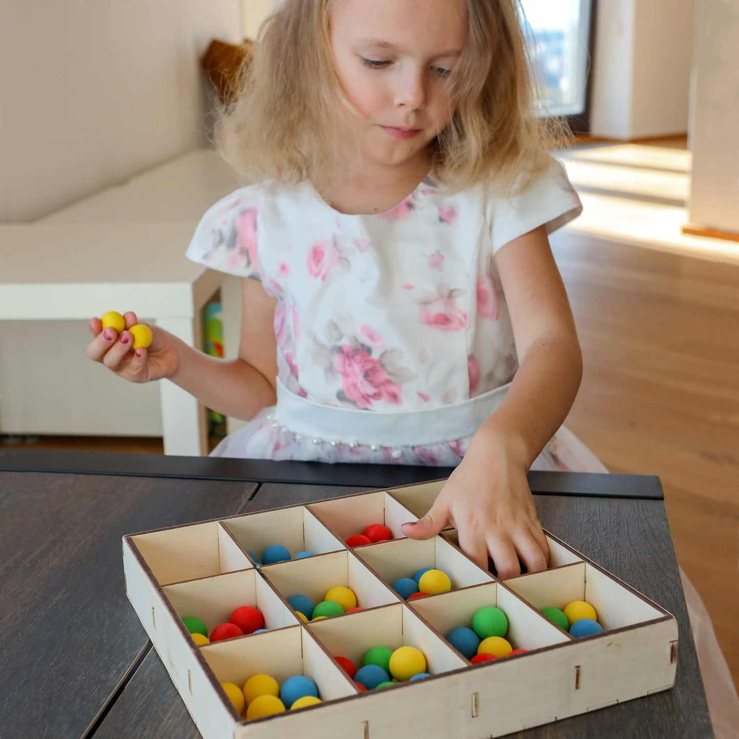 Tray for Sorting - 12 Sections