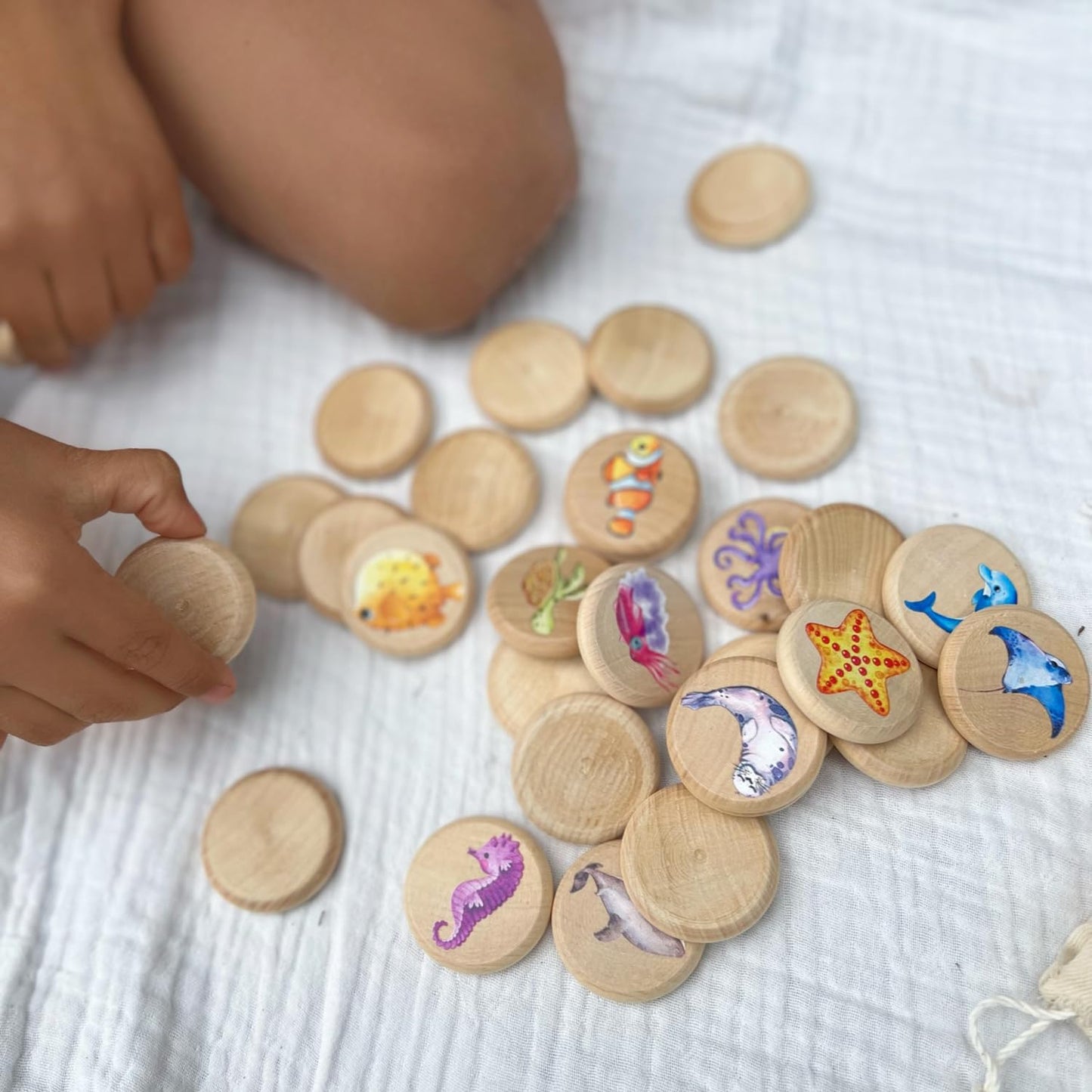 Sea Creatures Memory Game - 30 chips
