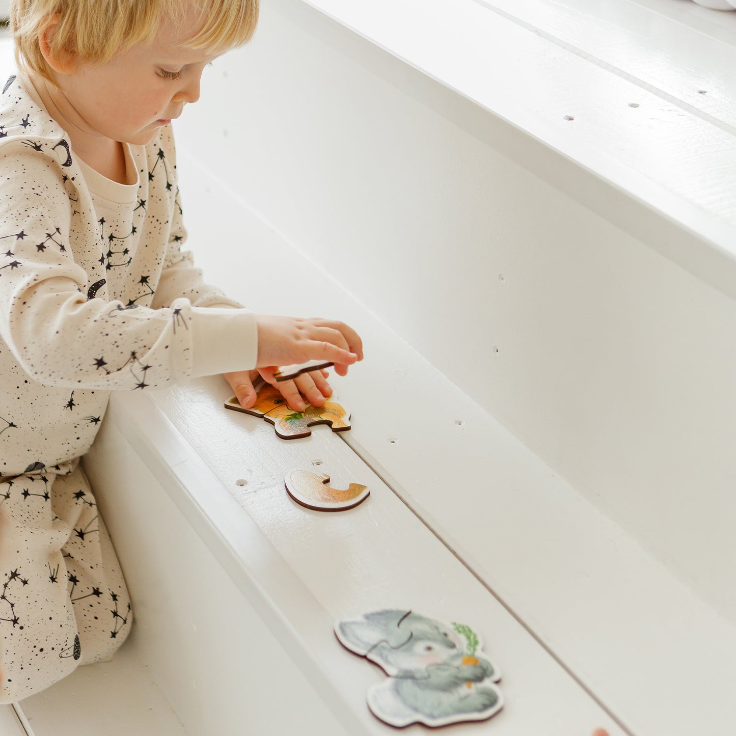 Wooden puzzles "Forest animals"