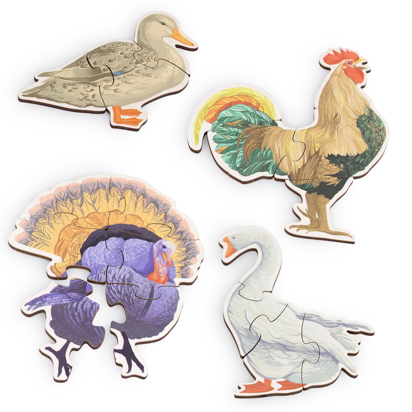 Wooden Puzzles Farm Bird