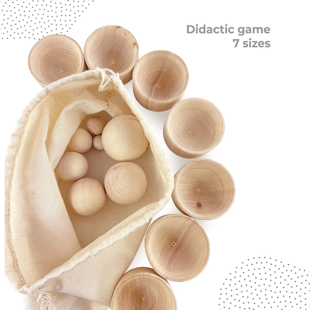 Sorter Montessori "Nests and balls"