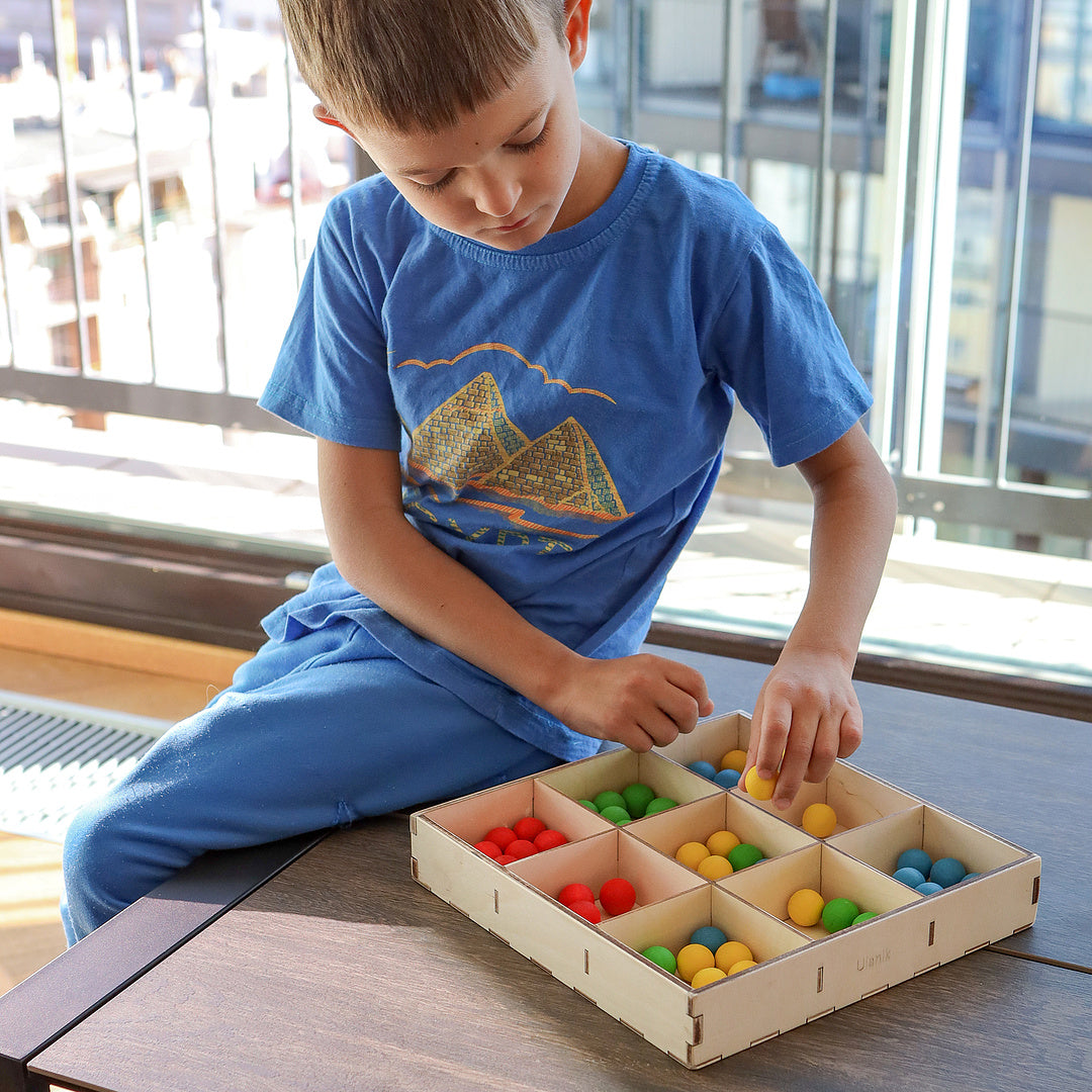 Wooden Tray for Sorting 9 Sections Montessori