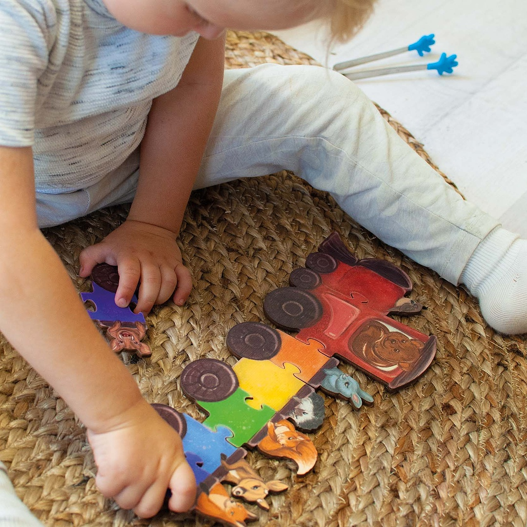 Wooden Puzzle "Rainbow wagons"