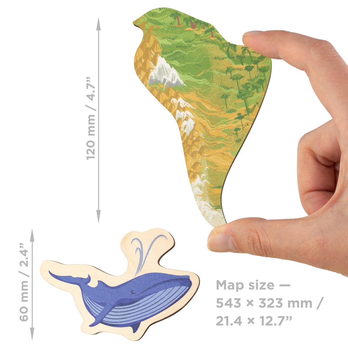 Continents World Map - Geography for Kids