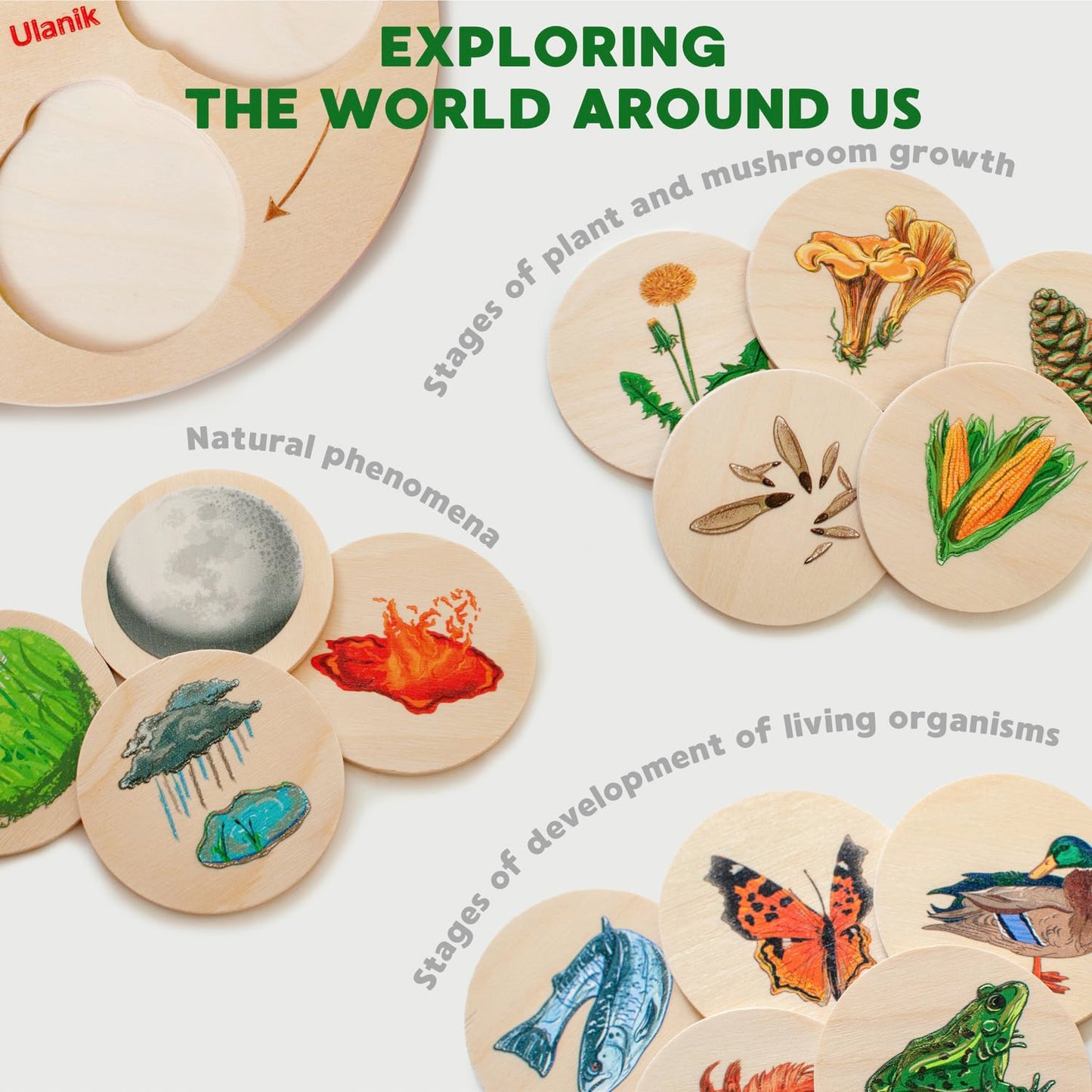 Life Cycle Board Game - 52 pcs
