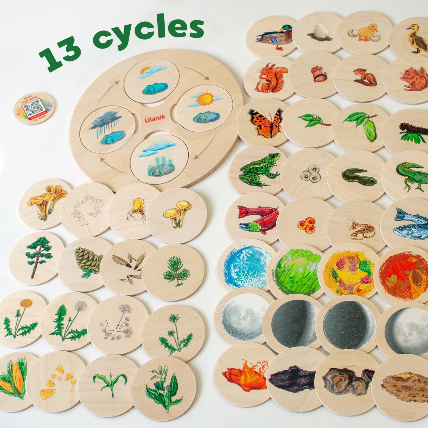 Life Cycle Board Game - 52 pcs